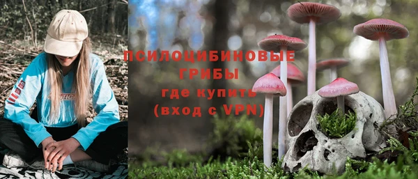 эйфоретик Алексин